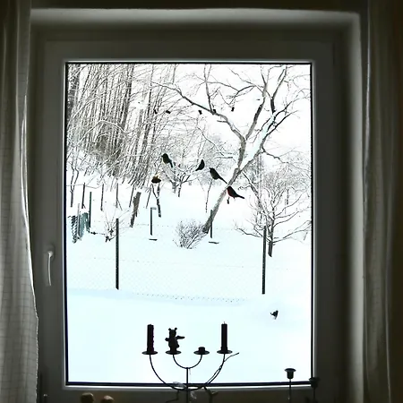 Reuzengebergte 펜션 Horni Lanov
