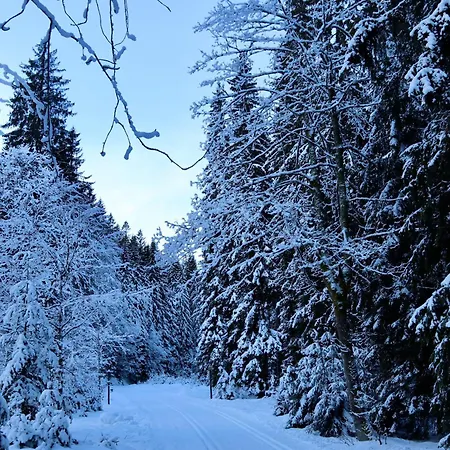 Reuzengebergte Horni Lanov