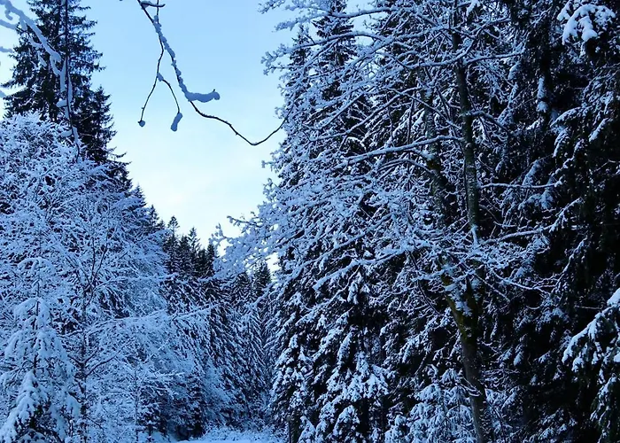 Reuzengebergte Horni Lanov